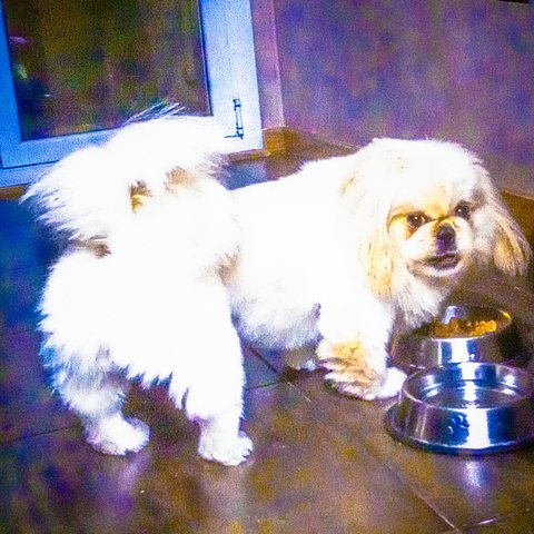 HeIsProtectingTheFoodFromMe.jpg
